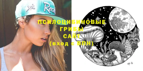 молекула духа Аркадак
