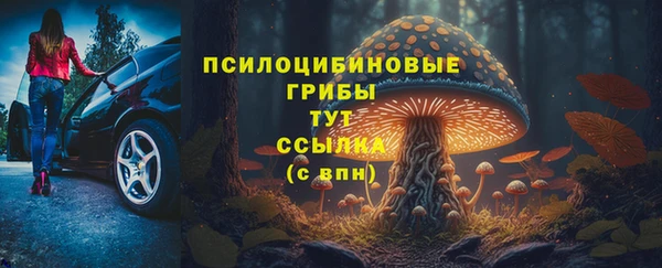 крисы Арсеньев