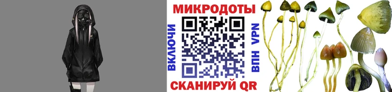 Галлюциногенные грибы MAGIC MUSHROOMS ссылка на мегу tor Феодосия где купить наркоту